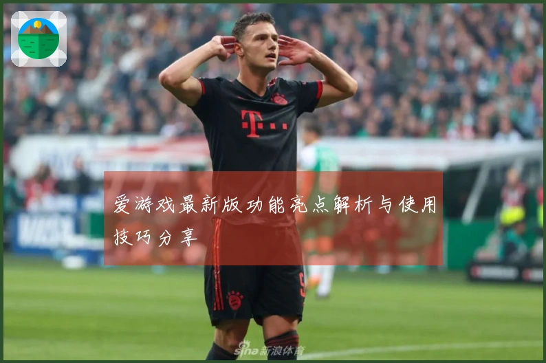 爱游戏最新版功能亮点解析与使用技巧分享