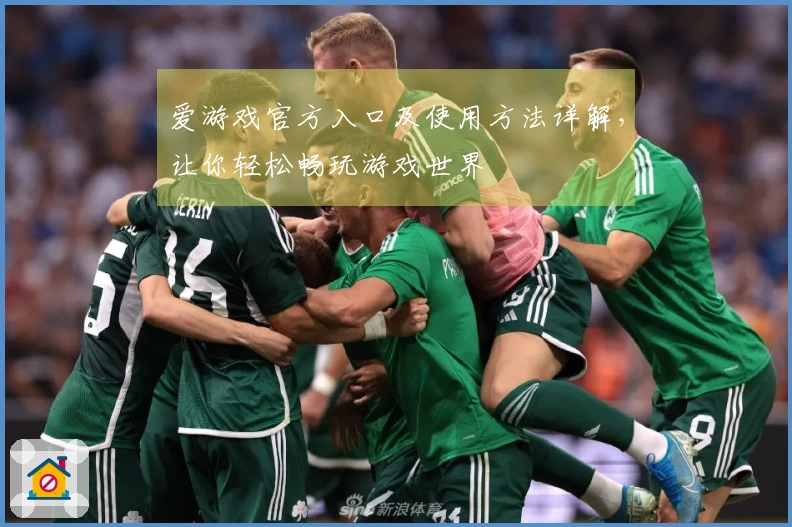 爱游戏官方入口及使用方法详解,让你轻松畅玩游戏世界