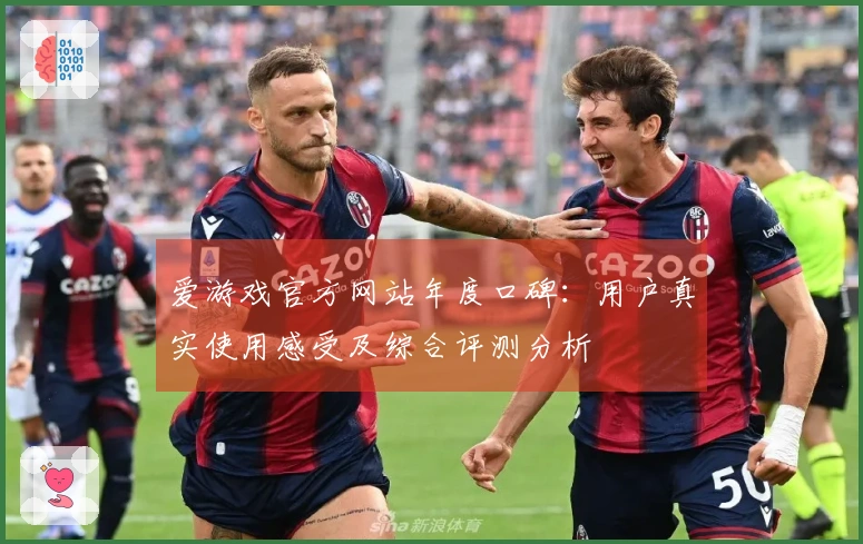爱游戏官方网站年度口碑：用户真实使用感受及综合评测分析
